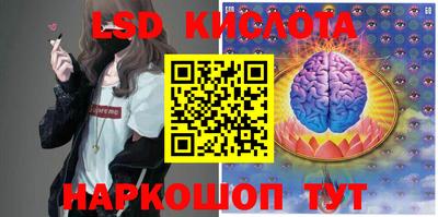 меф Краснознаменск