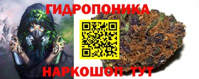 меф Краснознаменск