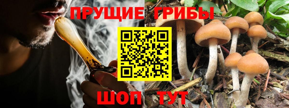 Галлюциногенные грибы MAGIC MUSHROOMS  Вход с VPN  Избербаш 